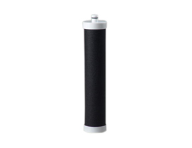 10" Insert Type Block Carbon Filter