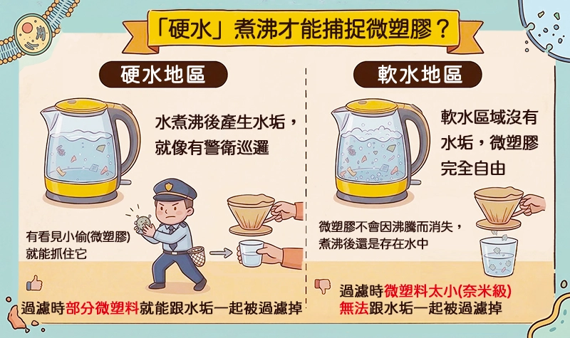 「硬水煮沸捕捉微塑膠」對比示意圖