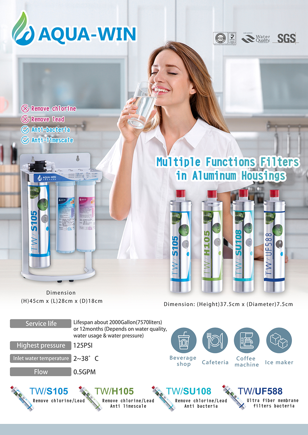 Taiwan Everpure single stage water filter